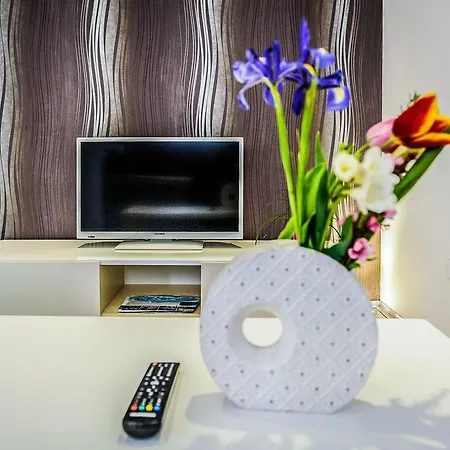 Alpha Loft 1br In Center * 자다르